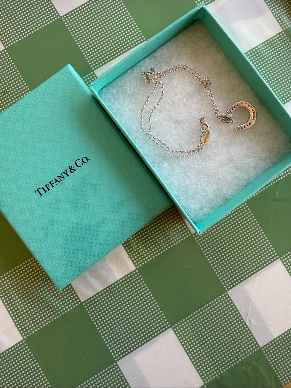 Tiffany & Co. Vintage Silver Horseshoe Pendant and chain necklace - Picture 5 of 5